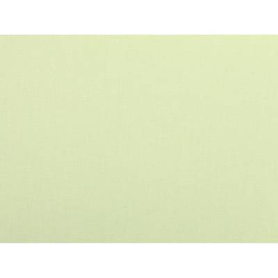 Амели светло-зеленый 85