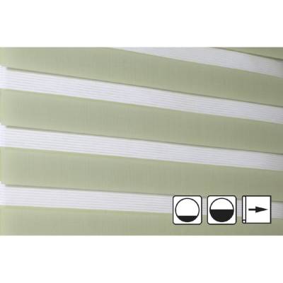 Зебра стандарт зеленый